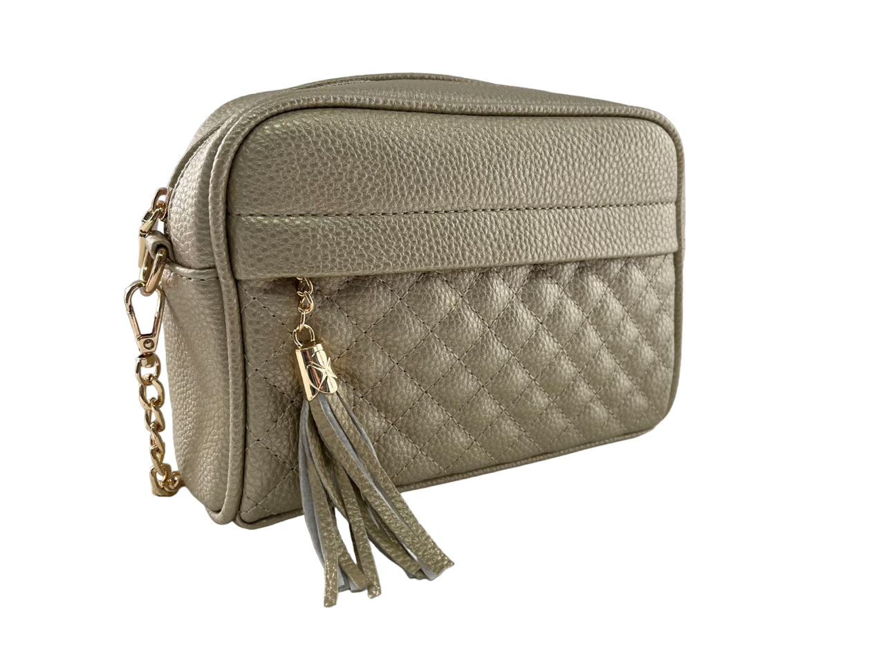 GESSY TASSLE ZIP CHAIN STRAP CROSSBODY CAMERA BAG IN GOLD