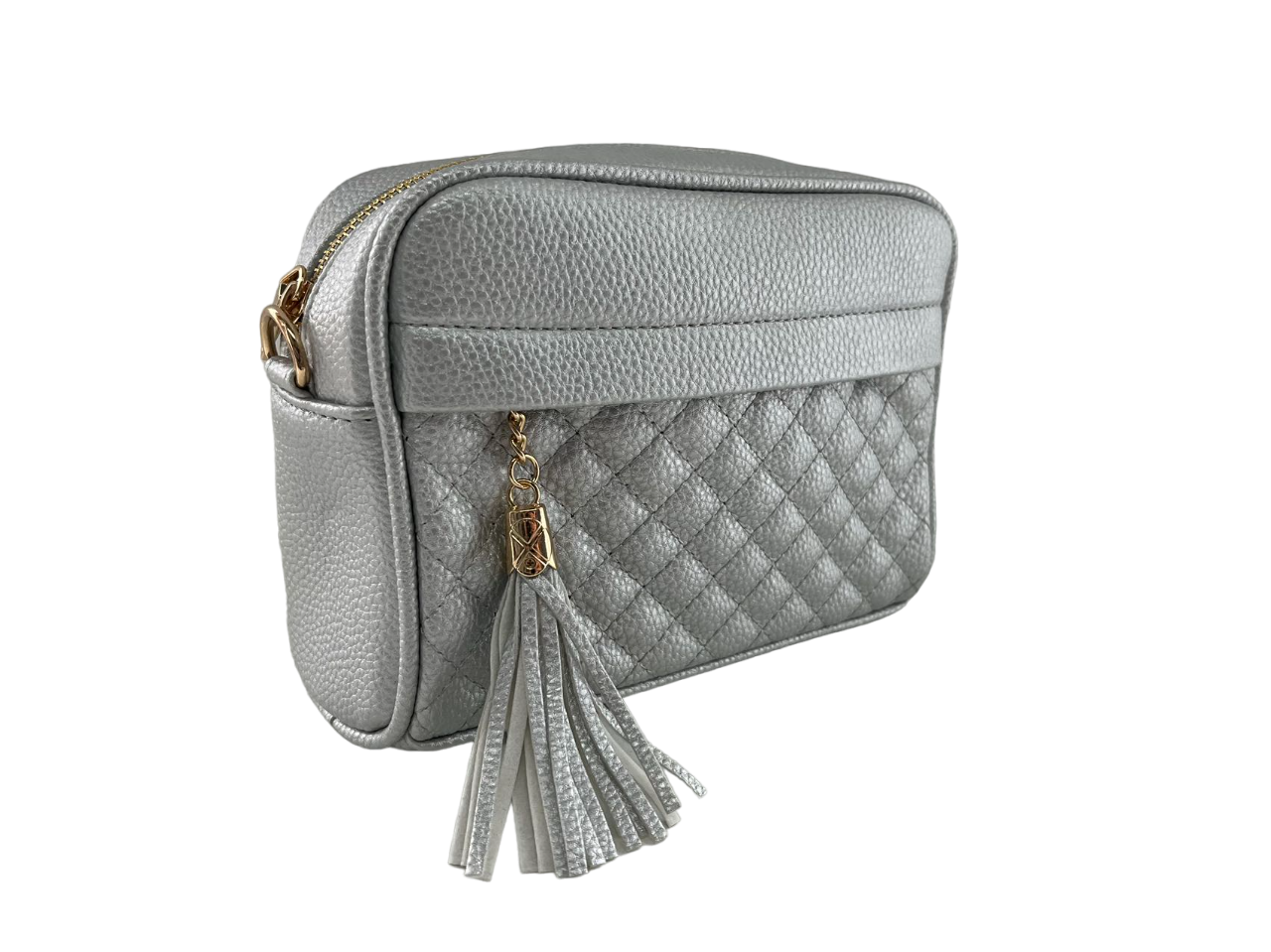 GESSY TASSLE ZIP CHAIN STRAP CROSSBODY CAMERA BAG IN SILVER