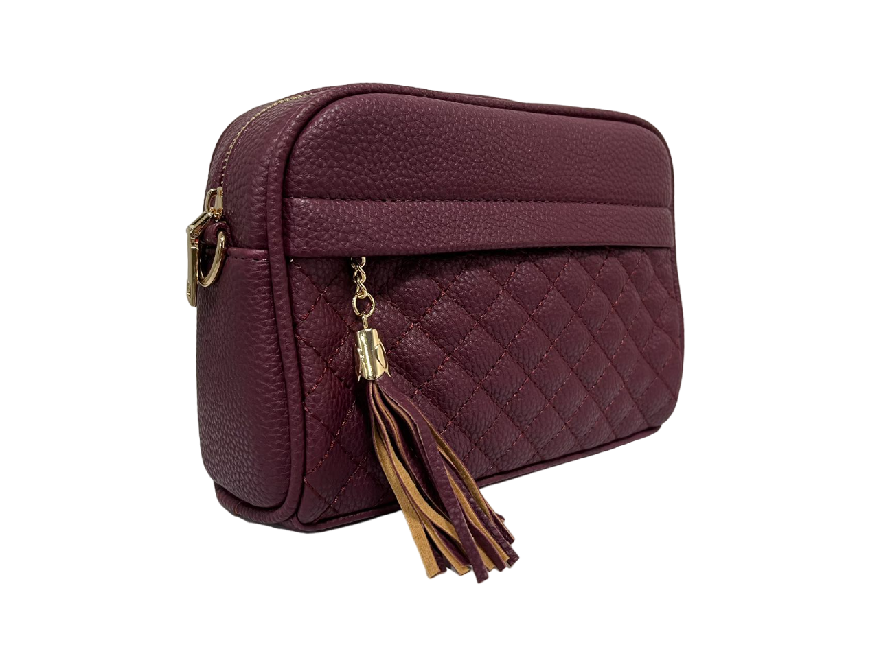 GESSY TASSLE ZIP CHAIN STRAP CROSSBODY CAMERA BAG IN WINE