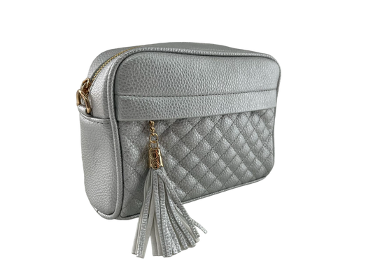 GESSY TASSLE ZIP CHAIN STRAP CROSSBODY CAMERA BAG IN SILVER